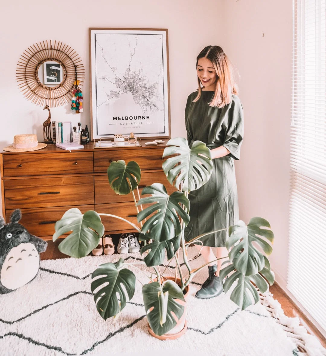 Monstera Deliciosa A Quick Plant Care Guide Connie And Luna