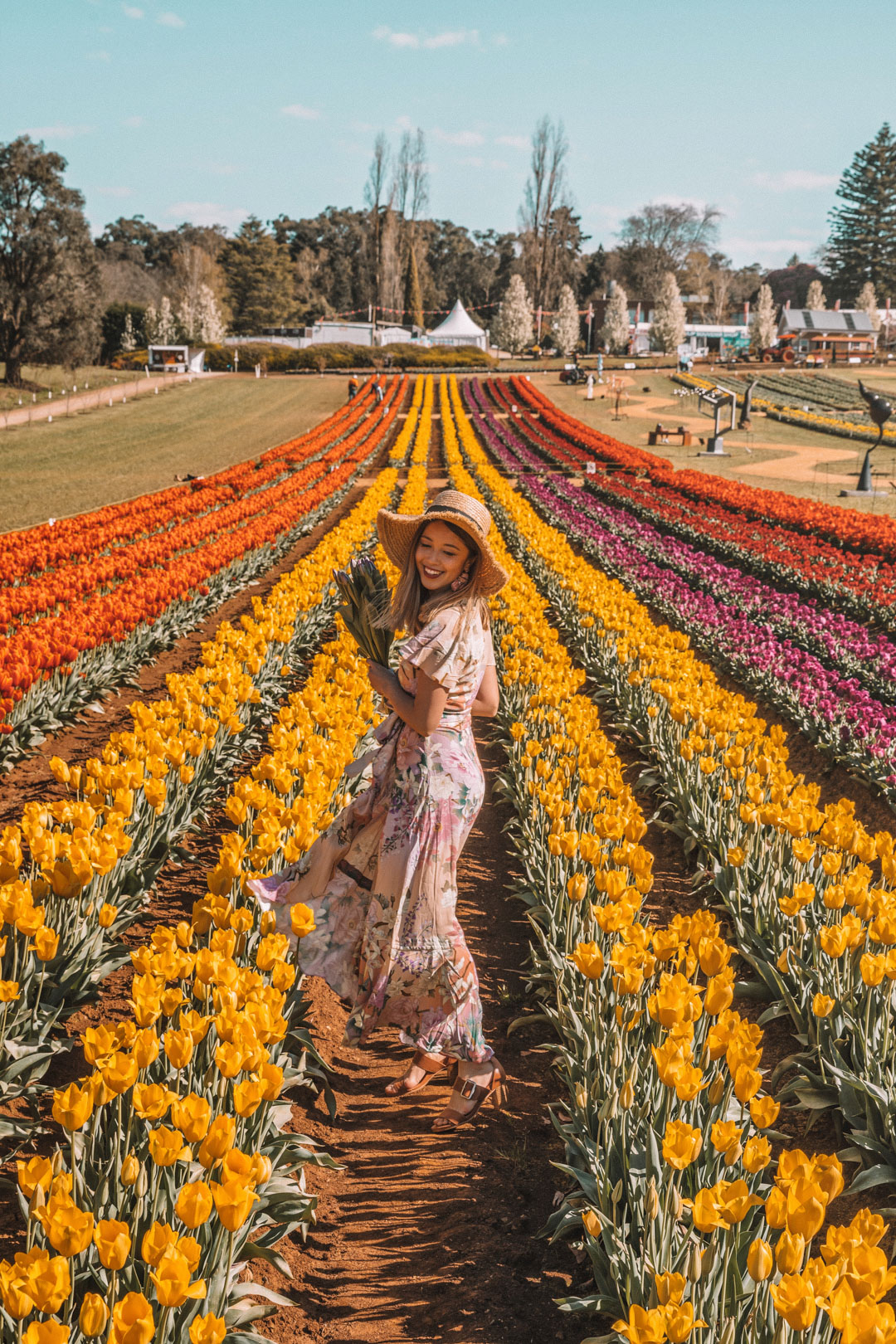 Exploring the Tulip Flower Field of Melbourne — CONNIE AND LUNA