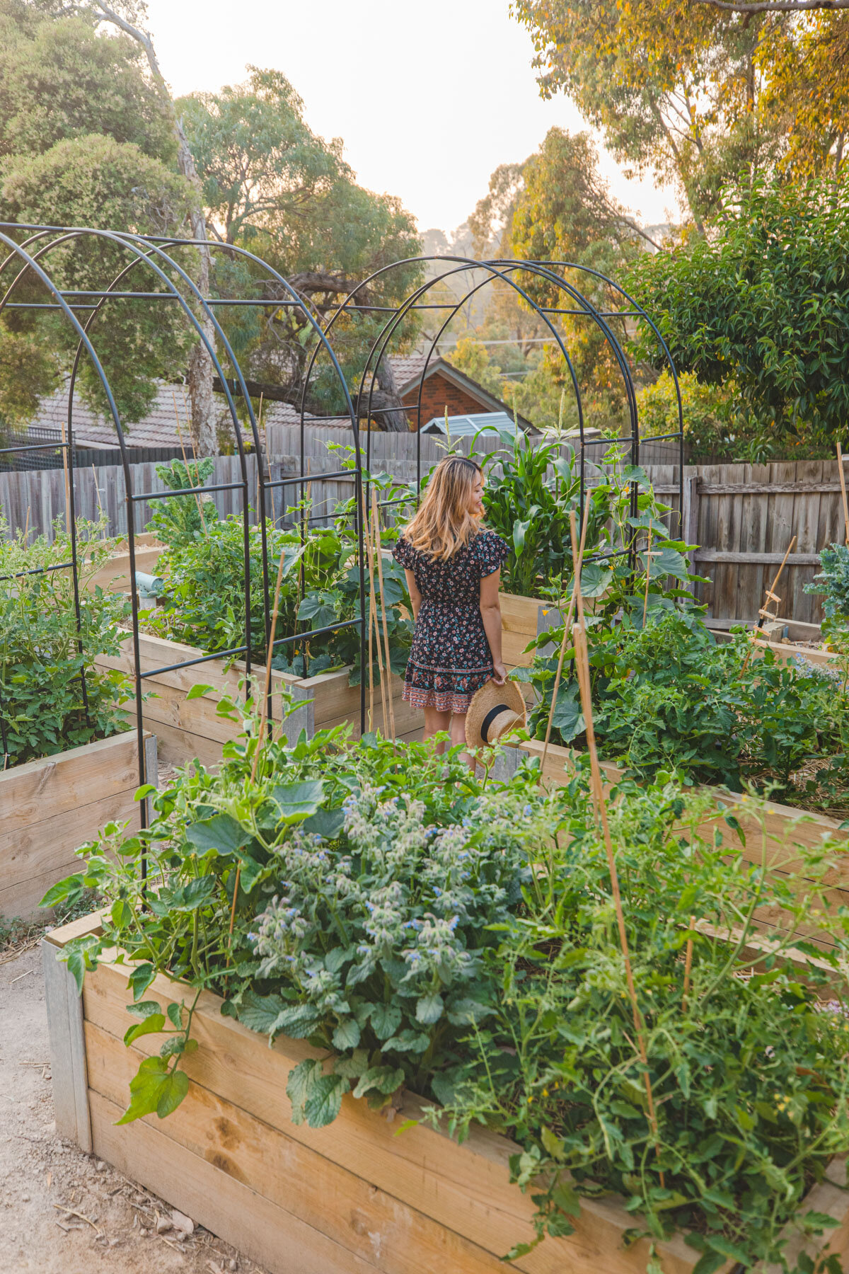 Our Dream Permaculture Vegetable Garden Before And After Connie And Luna