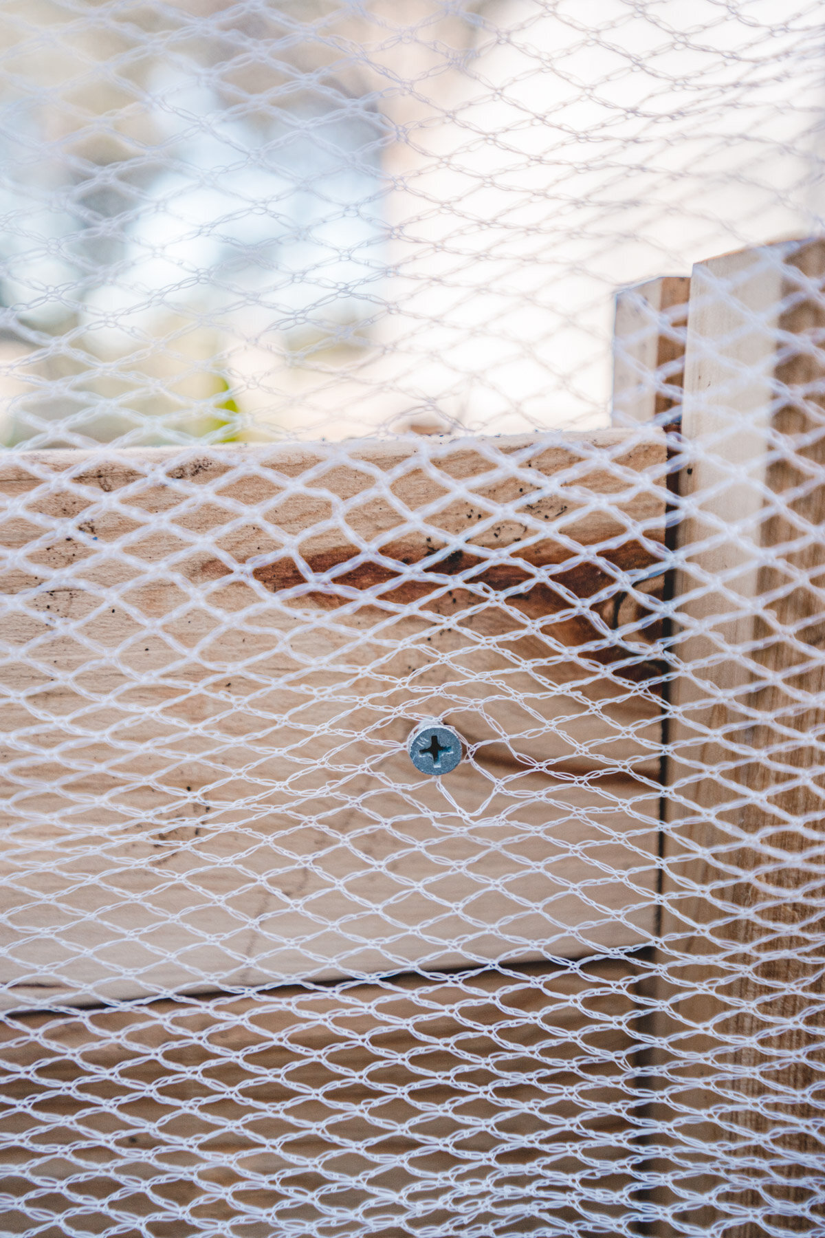 How to build an easy DIY Netting Structure for Your Raised Veggie