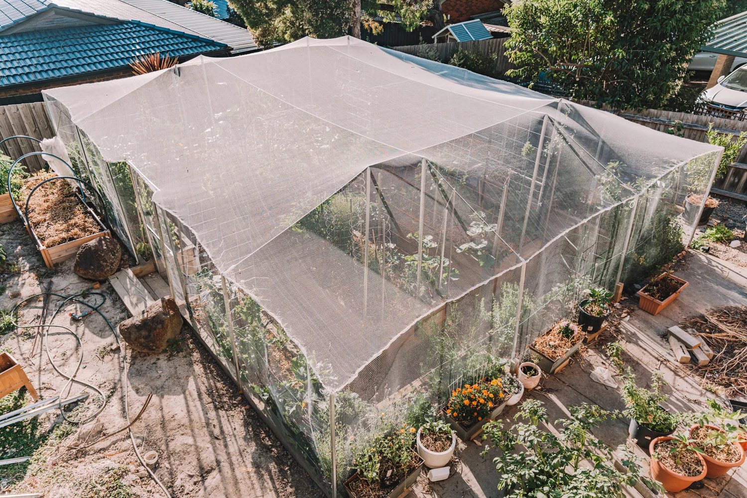 Veggie Garden Enclosure DIY + Before and After Pics! — CONNIE CAO — free download