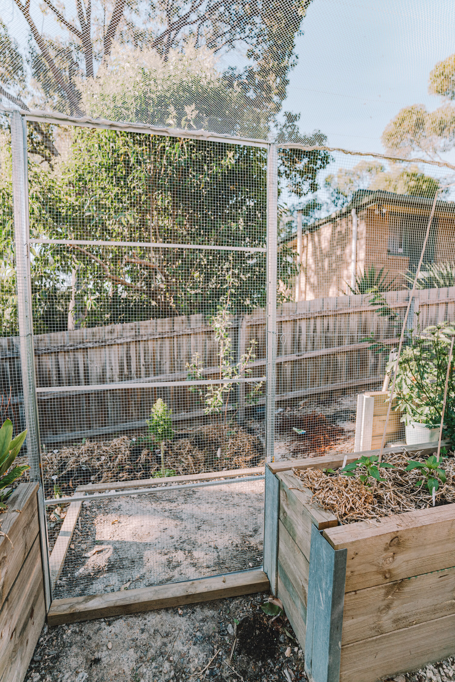 Veggie Garden Enclosure DIY + Before and After Pics! — CONNIE AND LUNA