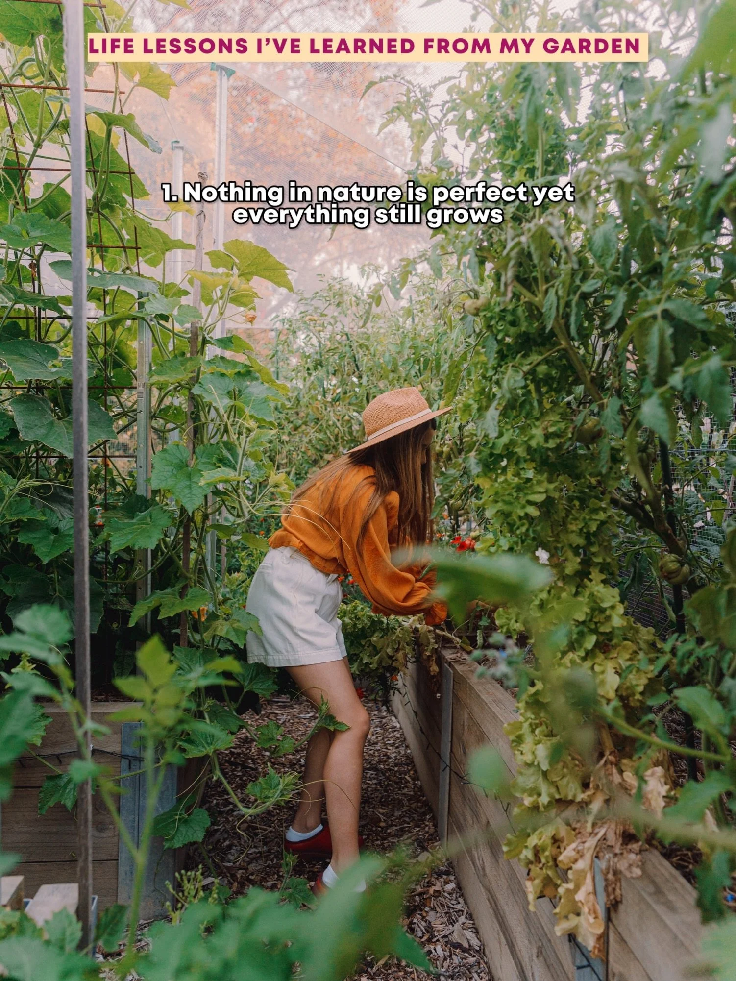 Gardening has taught me more than just how to grow plants. Here are a few other things I have learnt long the way, that have really changed the way I view the world 💝 What has the garden taught you? I&rsquo;d love to hear in the comments below 🤗