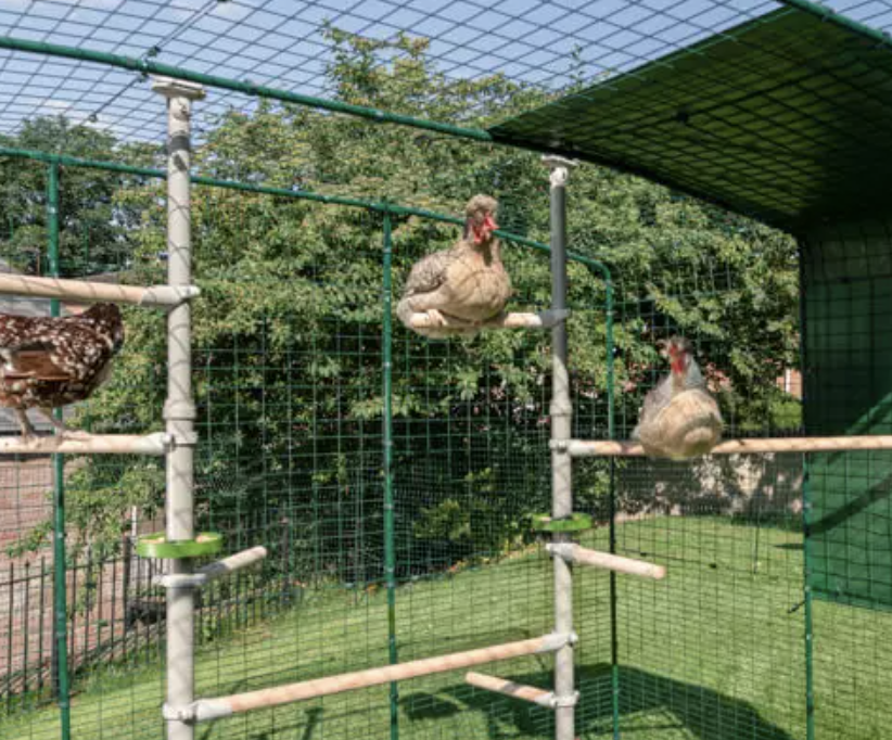 Screenshot 2025-08-06 at 8.45.27 am.png