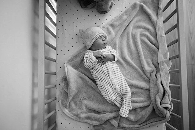 Little Luke 🐻 7 days fresh!