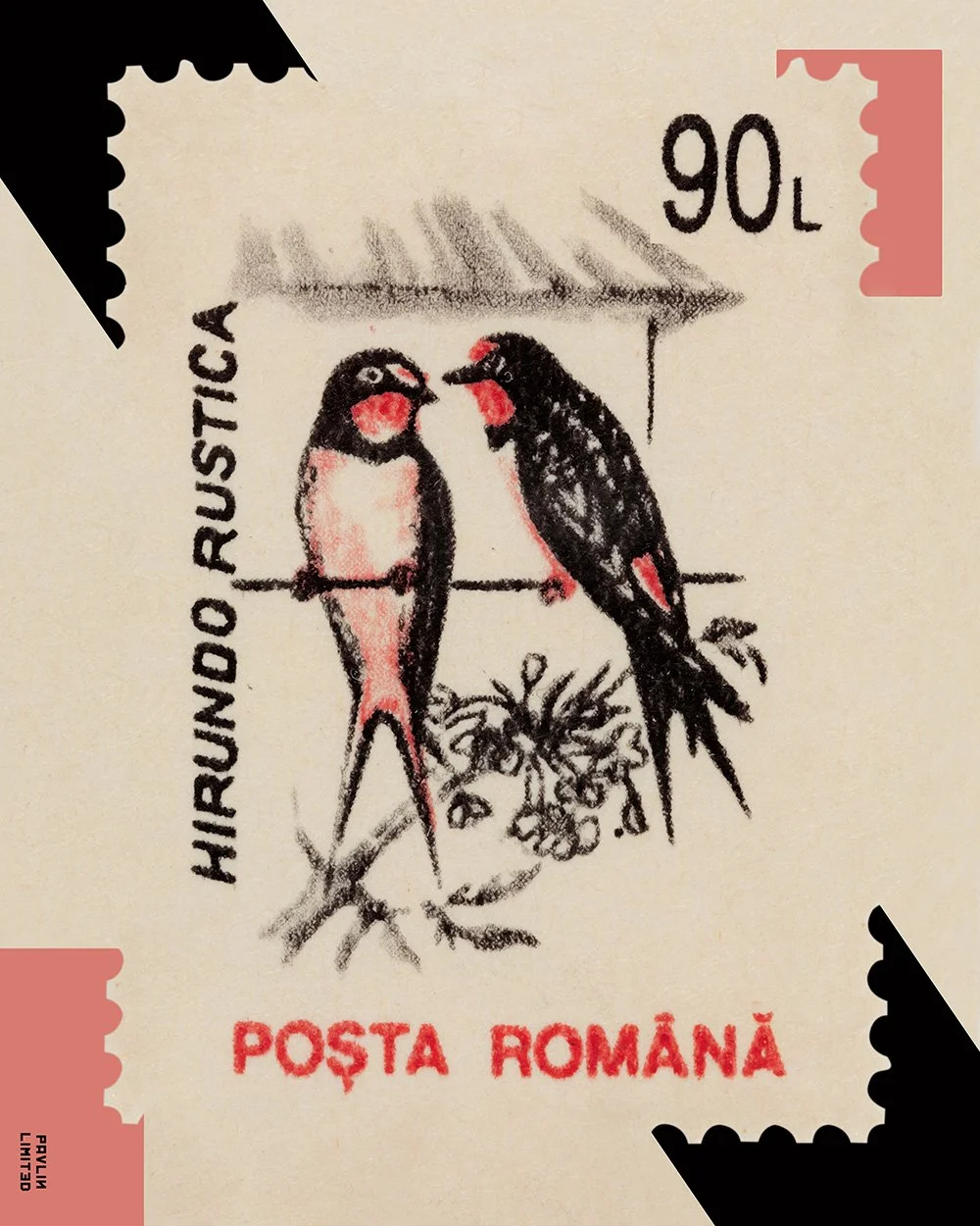 Hirundo Rustica.jpg