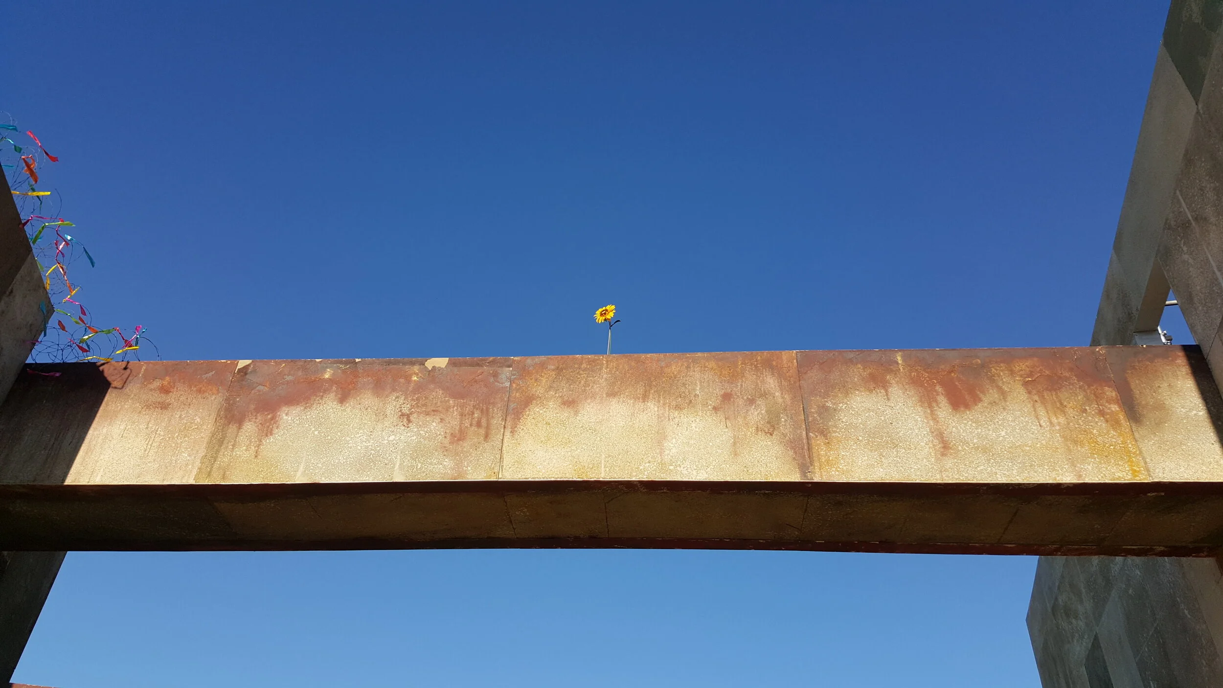 20180805_181013.jpg