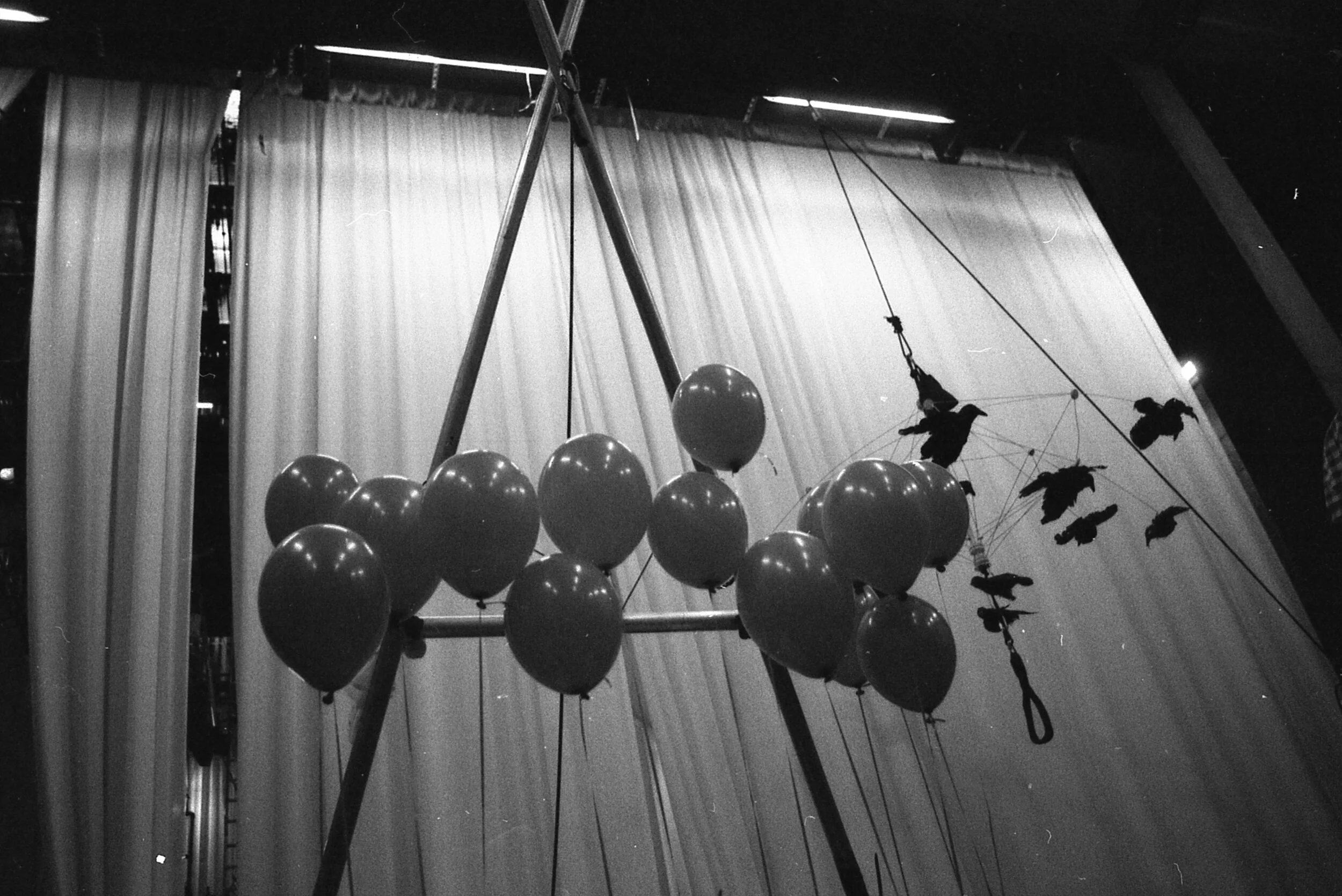 Photo at sector 160343159.jpg