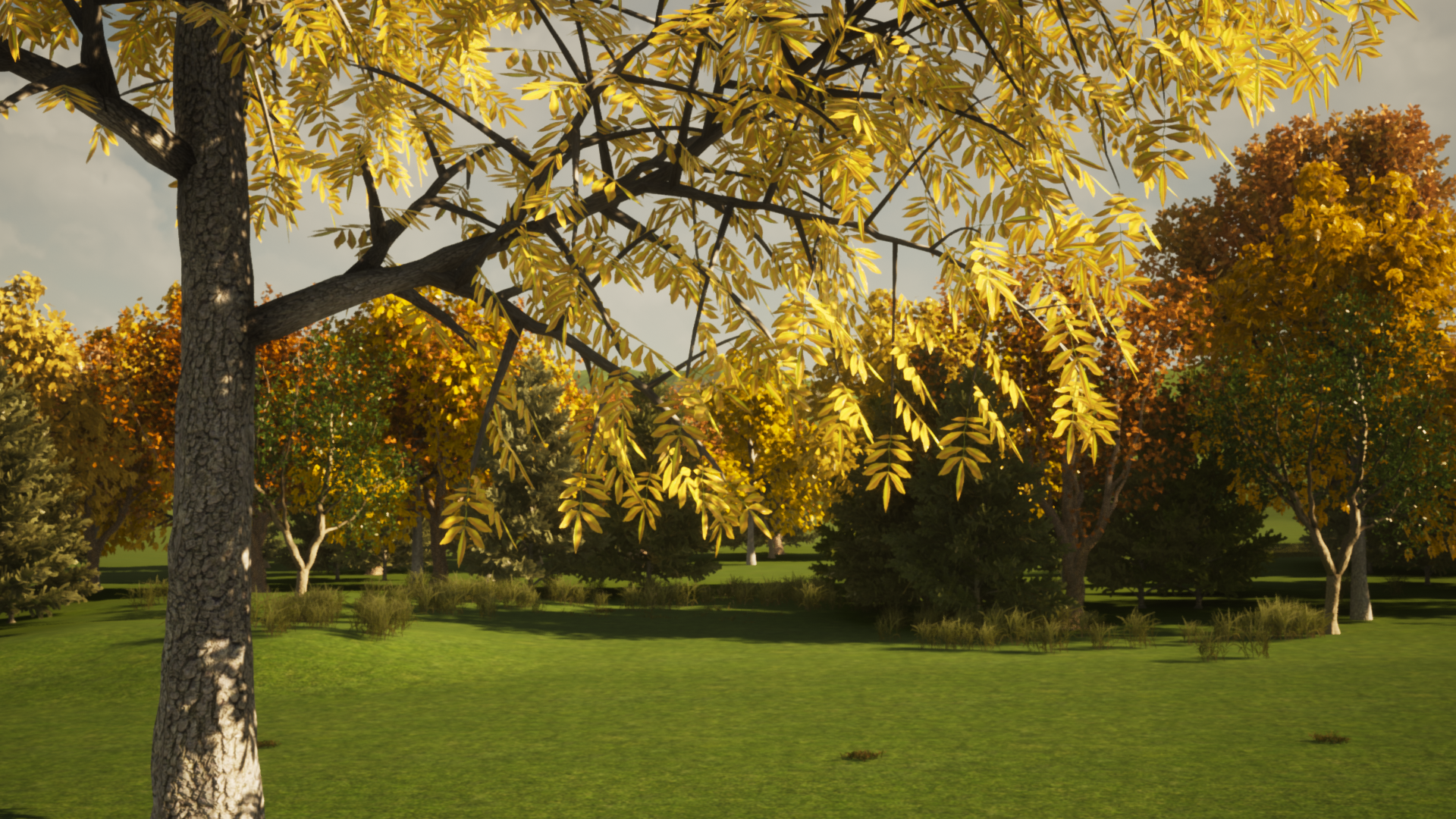 Arden 2 Evening Fall.png
