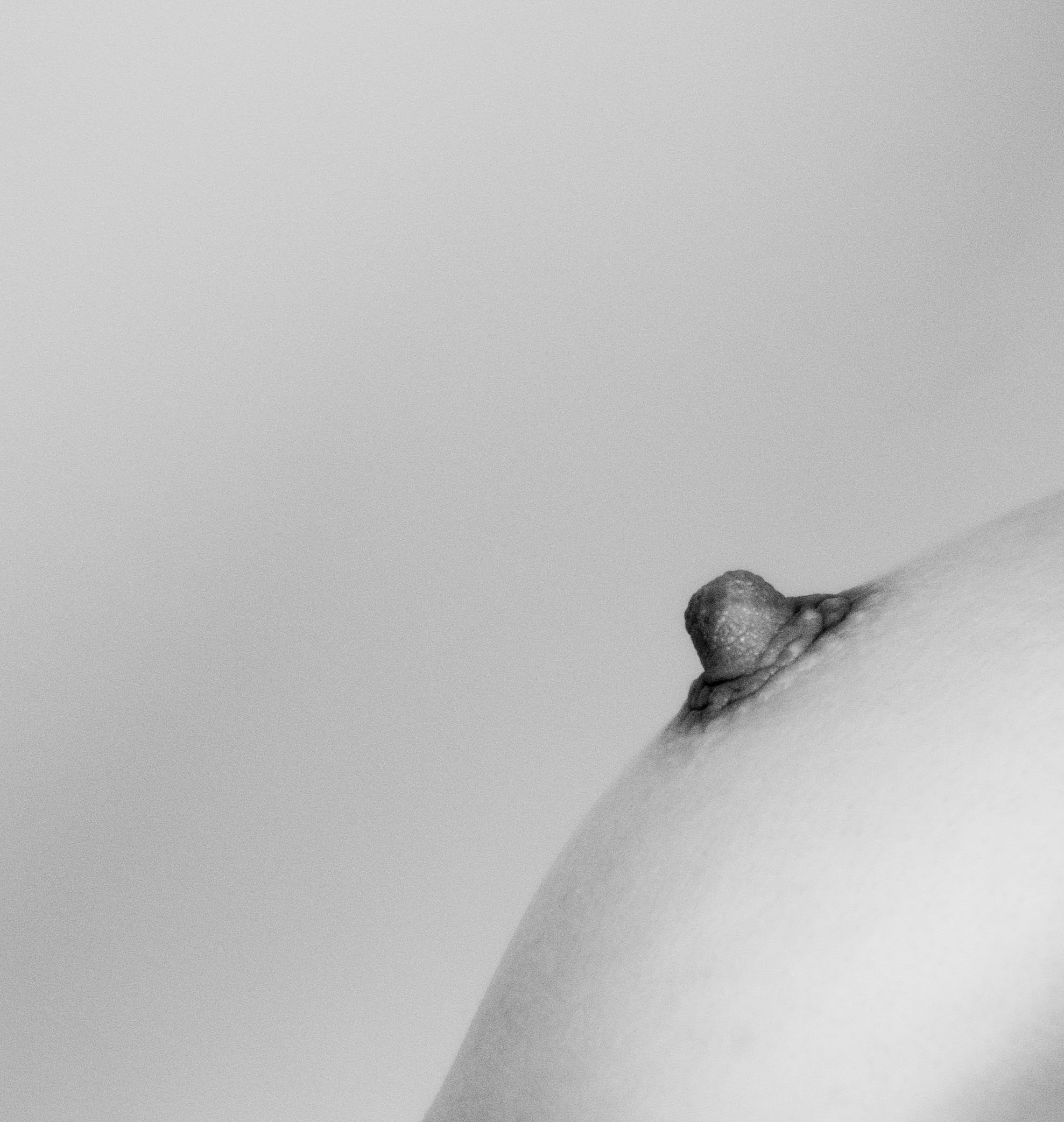 DSC05632.jpeg