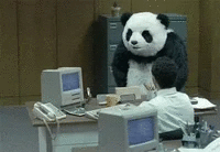 Un panda en costume assis dans un bureau en face d'un employé