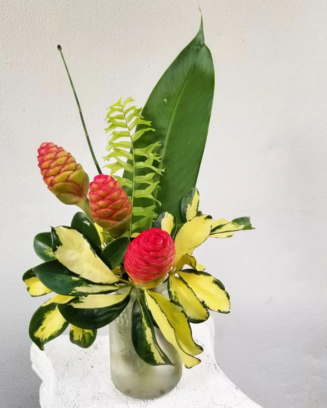 In this arrangement, variegated umbrella plant collars an old glass honey jar that holds 3 mini shampoo ginger cones, a single blade of horsetail grass,
and 1 fish tail fern. 

#tropicalflowers #tropicalarrangement #florida #localflowers #flowerarran