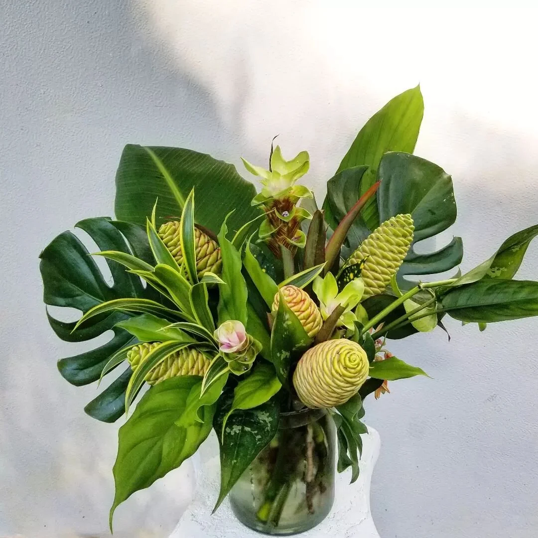 Y'all gave me so much love on this arrangement I shared in my stories yesterday ☺️ 

#tropicalflowers #tropicalarrangement #jungleflowers #localflowers #grownnotflown #americangrownflowers 
#34607 #hernandobeach #weekiwachee #weekiwacheegardens #flor