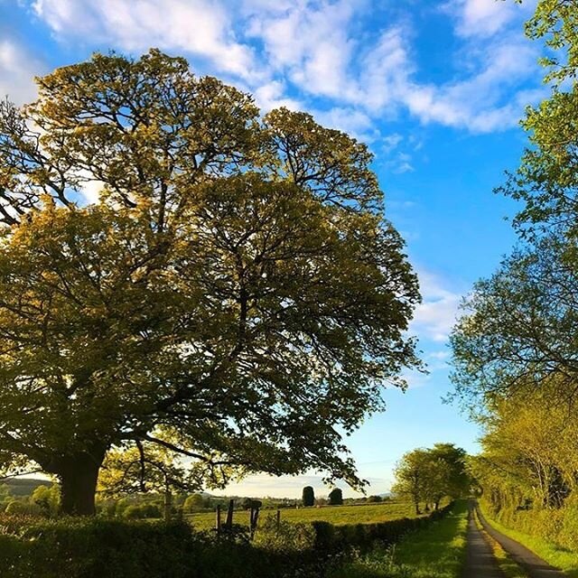 No place like home! We make creative videos and documentaries focusing on music, dance, arts, heritage, culture, nature and community and find great happiness and rewards in doing so. 
#dreoilinproductions #leitrim #film #video #documentary