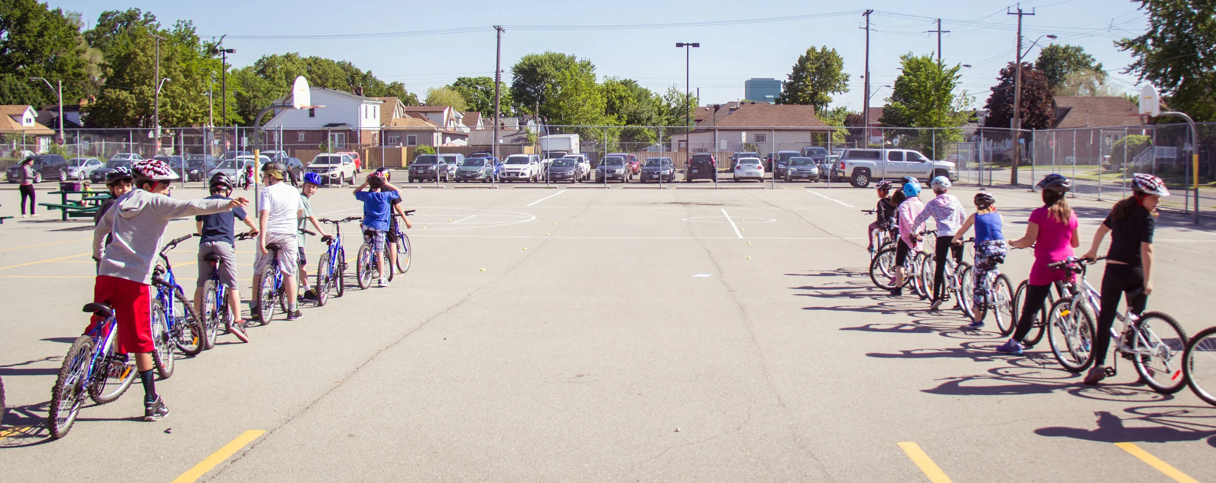 new hope cycle