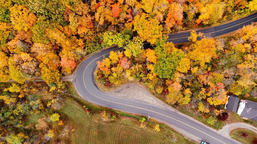 In case you were worried that the trees might not be in their peak fall colours for Saturday's event, here's the proof that they are OVER THE TOP GORGEOUS right now. 
#everesting #everesting4NH #newhopebikes #newhopebike #hamontbikes #bikes #8848m #b