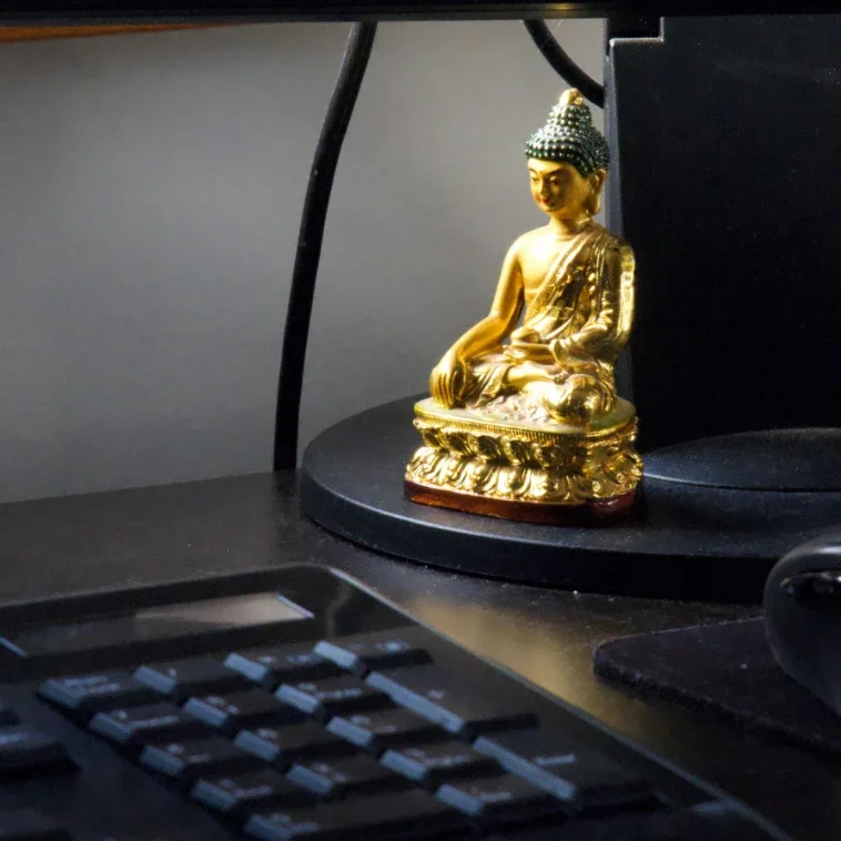 Does your company have the DevOps nature?