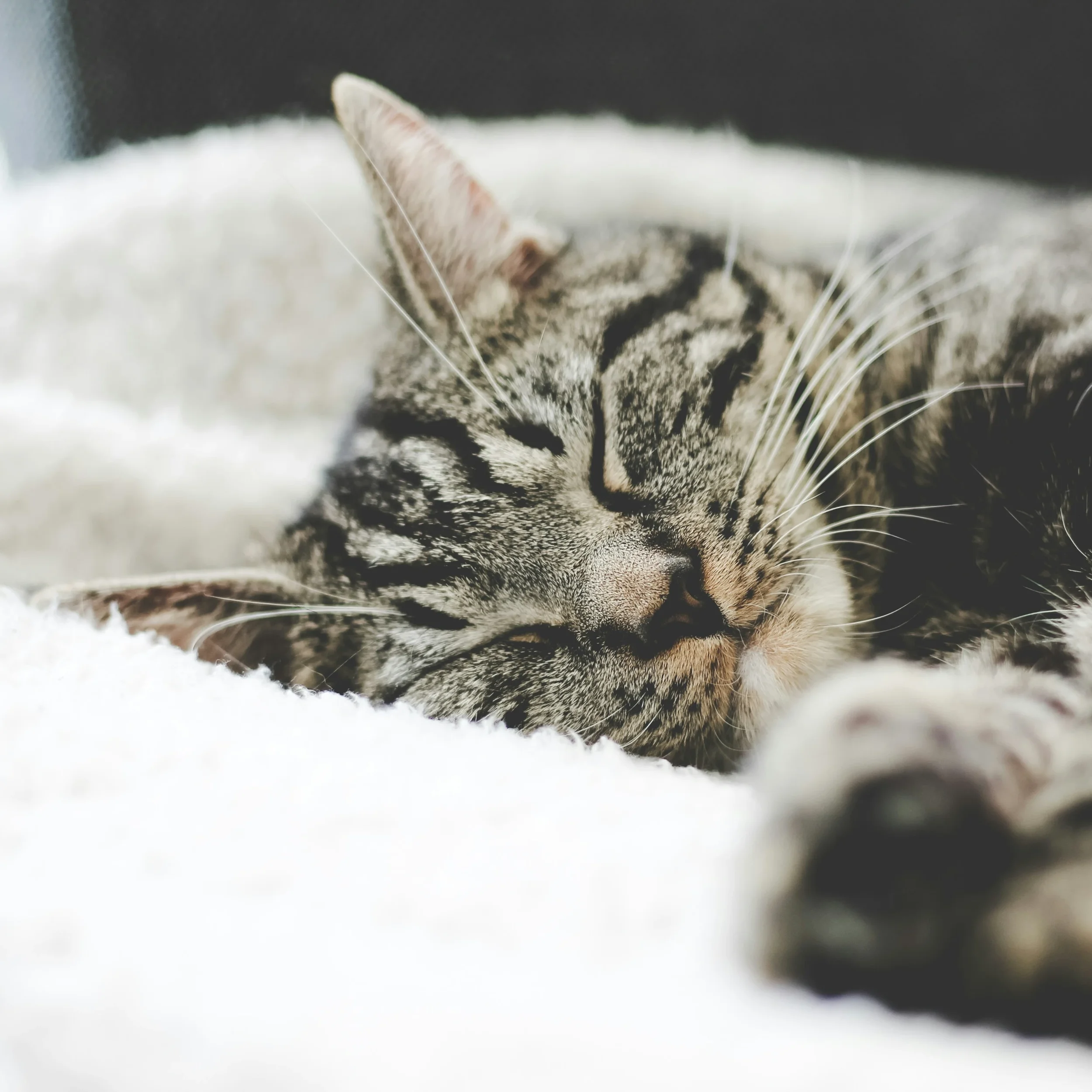 “Wakeups”: the most important DevOps metric