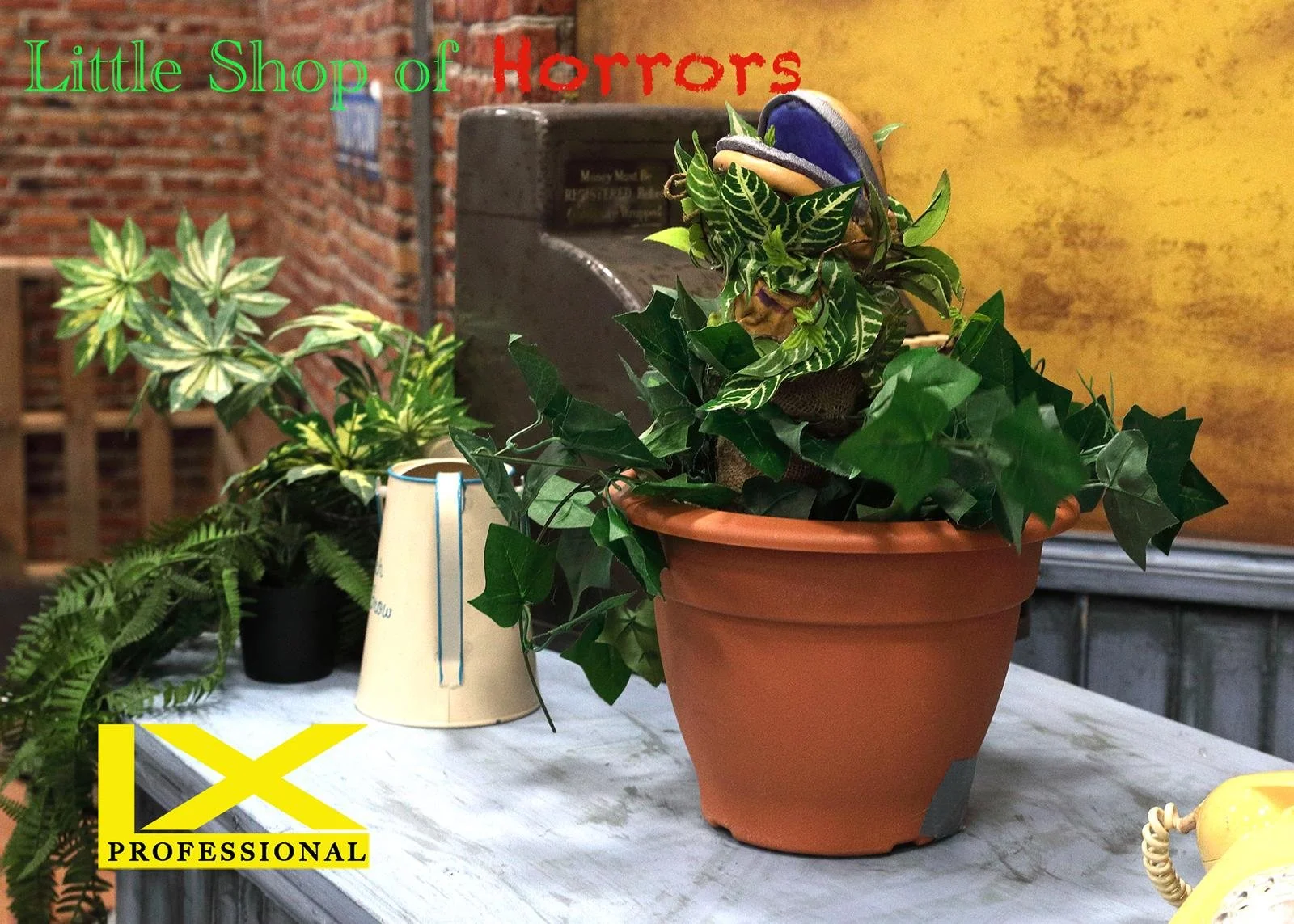 little shop of horrors - plant hire, set, plant and prop hire , Mushnik’s shop, skid row, the dentist (including a dentist chair) , 4 Audrey II plants- dentist - skid row - 4 Audrey ii plants  set hire - uk set and prop hire - packages -