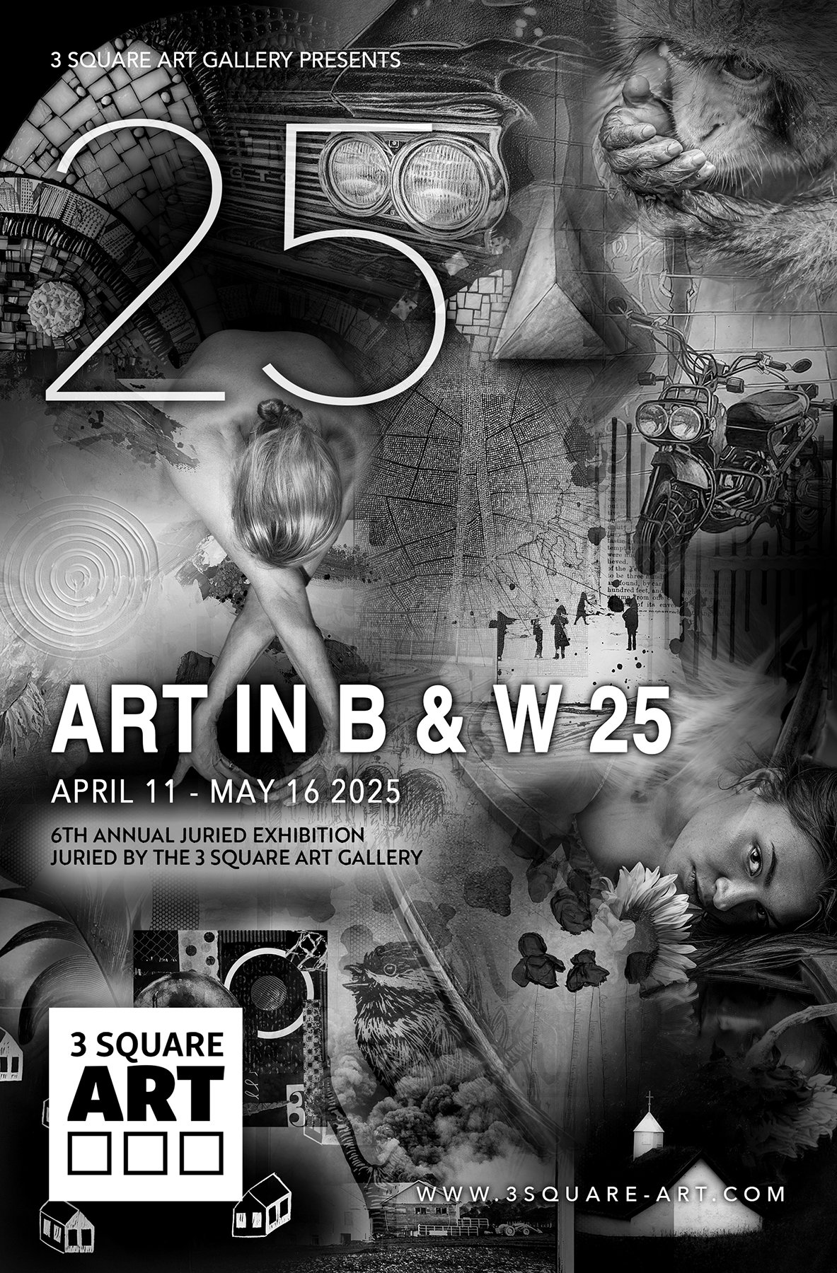 Art in B & W 25, 6th Annual Juried Exhibition