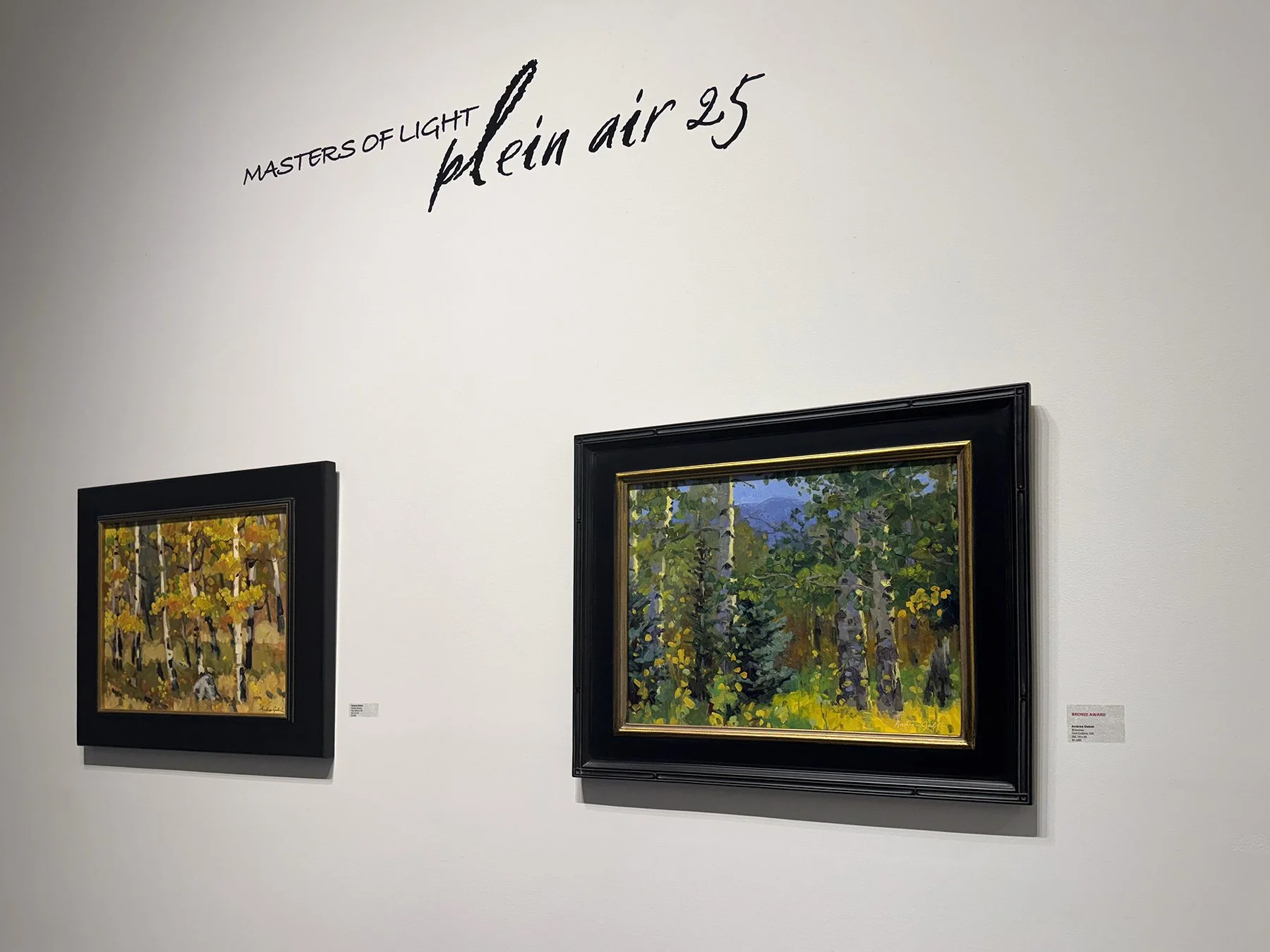 05_IMG_0155 copy.jpg