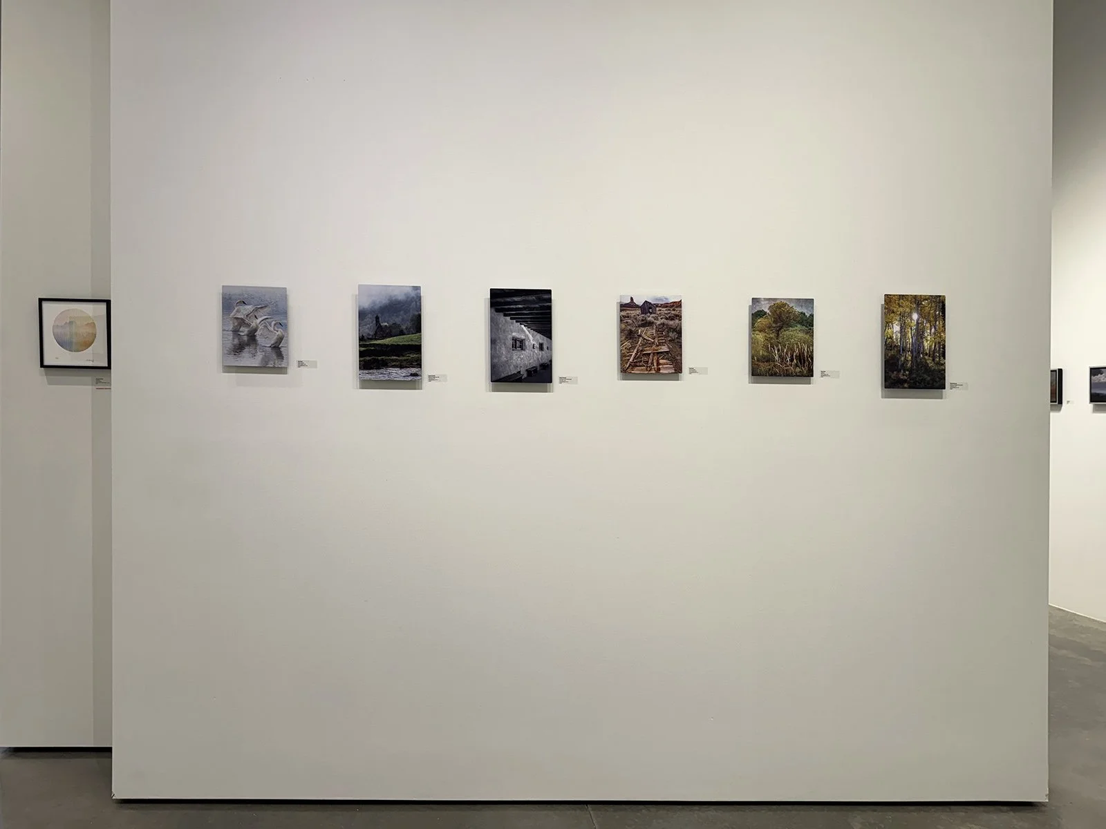 16_IMG_1271 copy.jpg