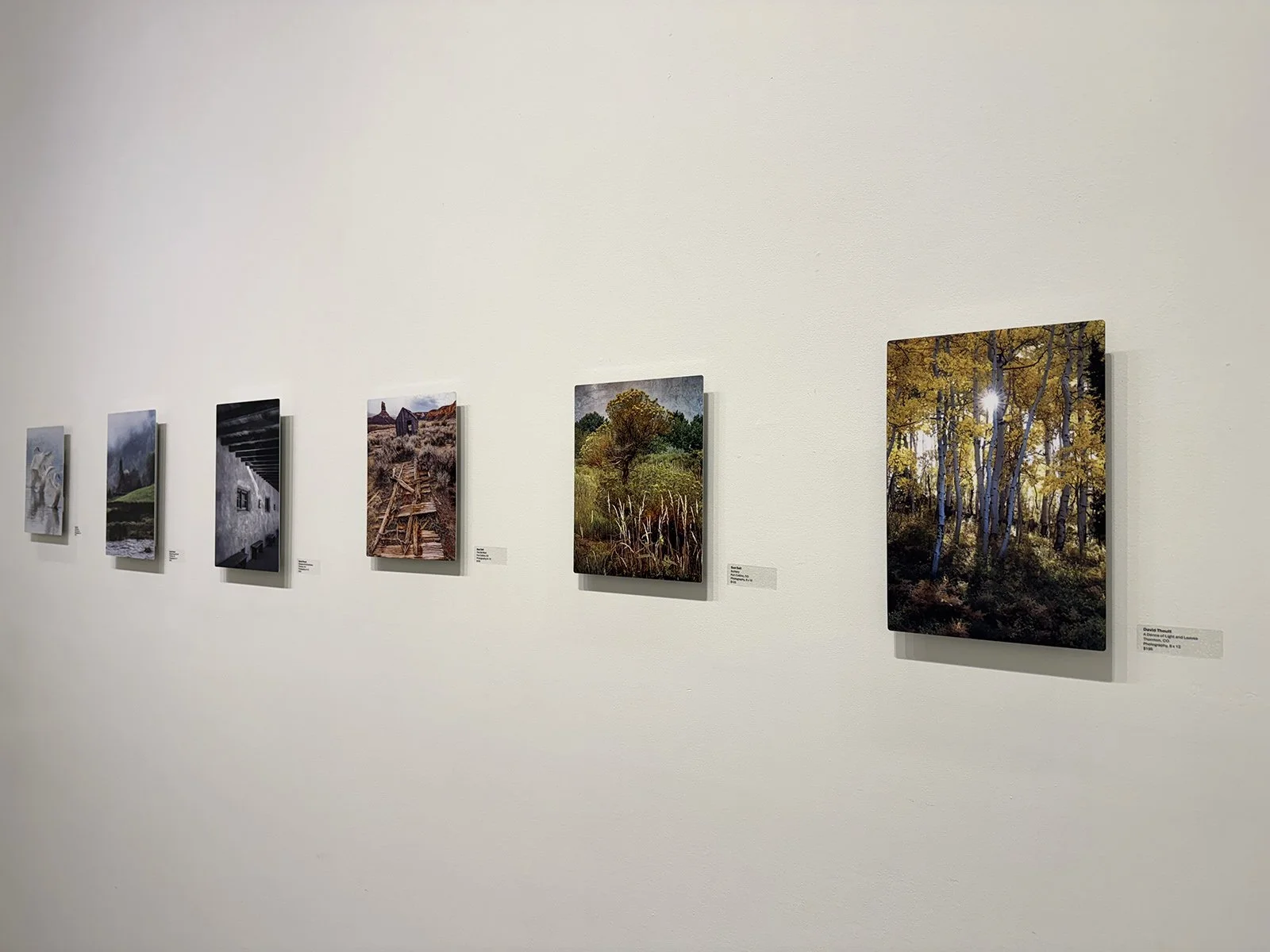 18_IMG_1272 copy.jpg