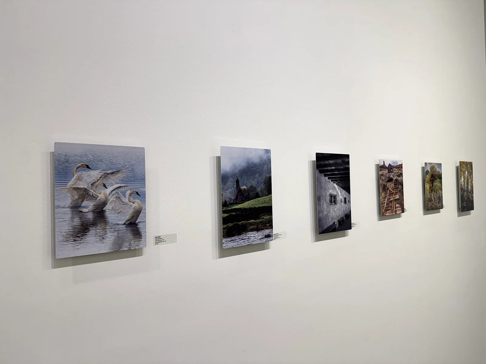 17_IMG_1273 copy.jpg