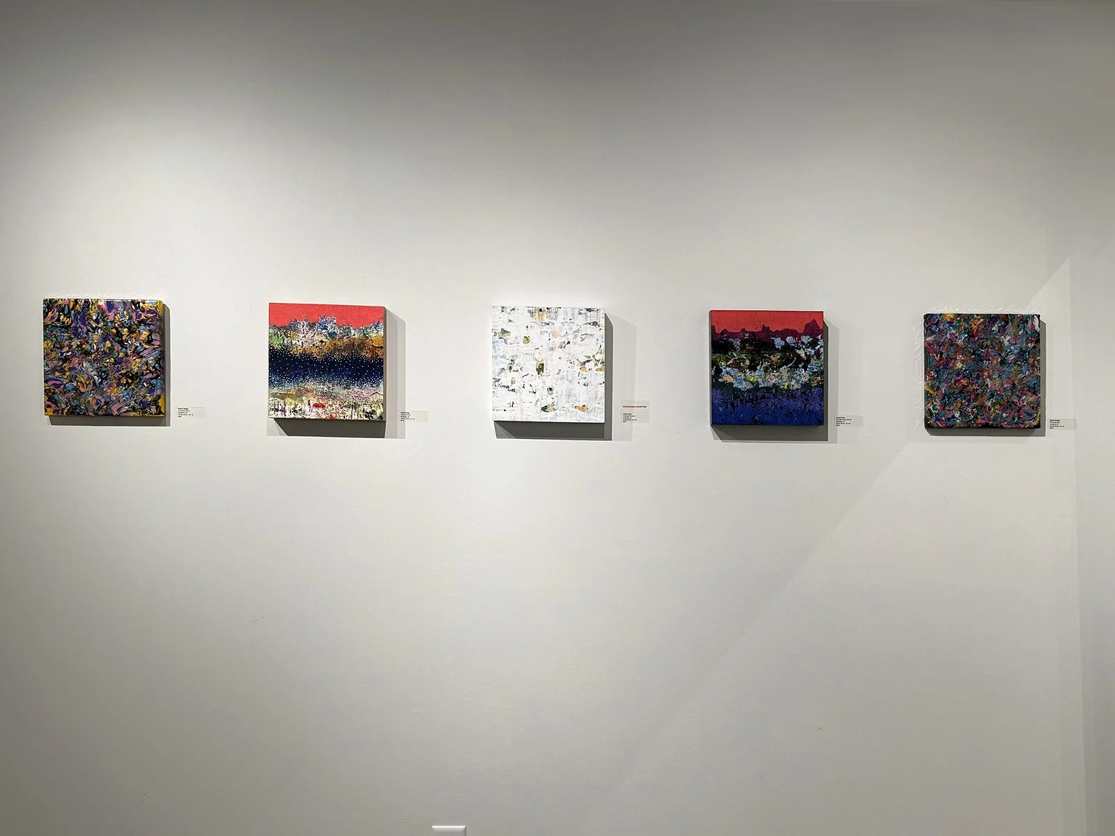 44_IMG_1343 copy.jpg