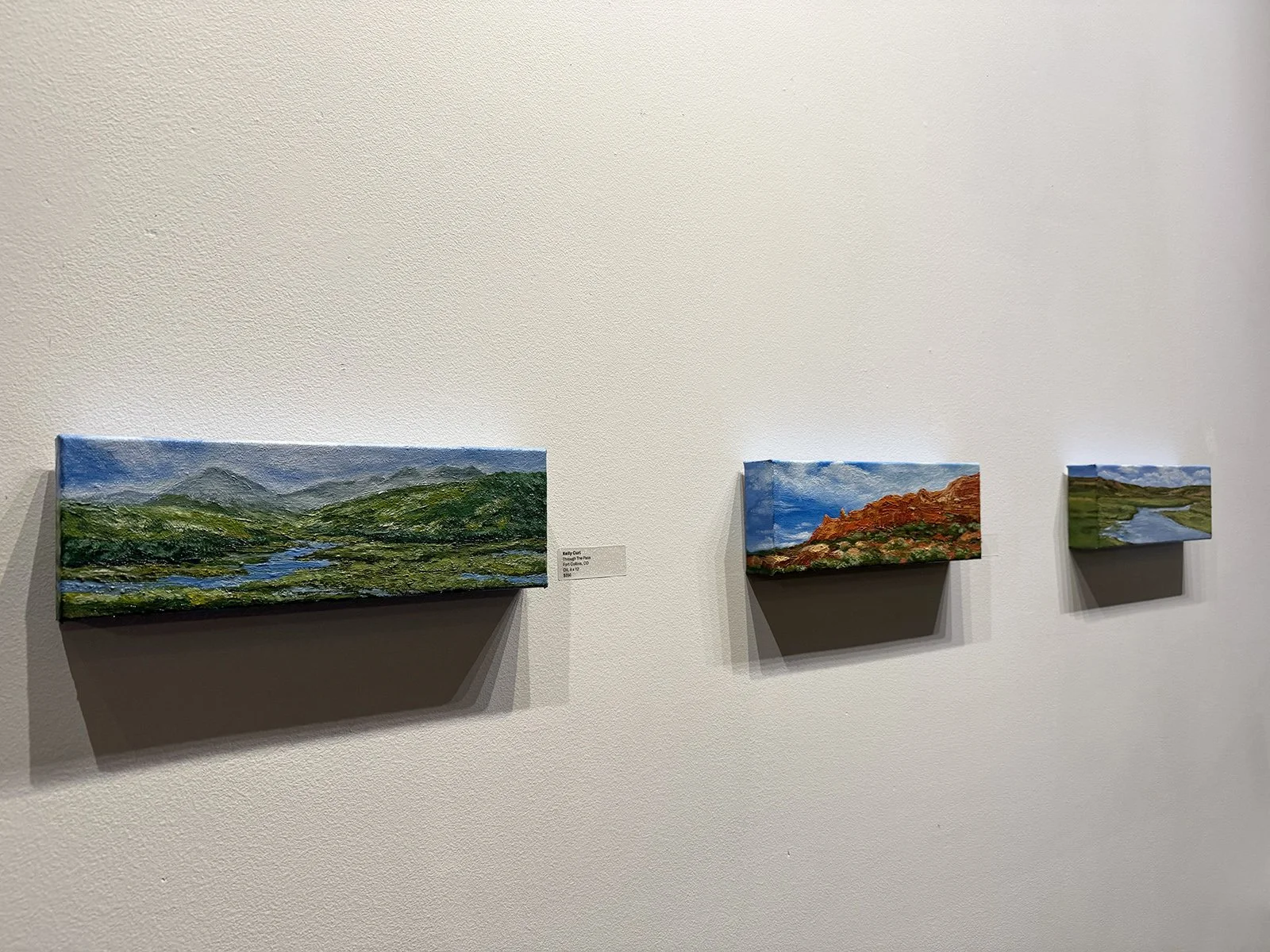 71_IMG_1248 copy.jpg