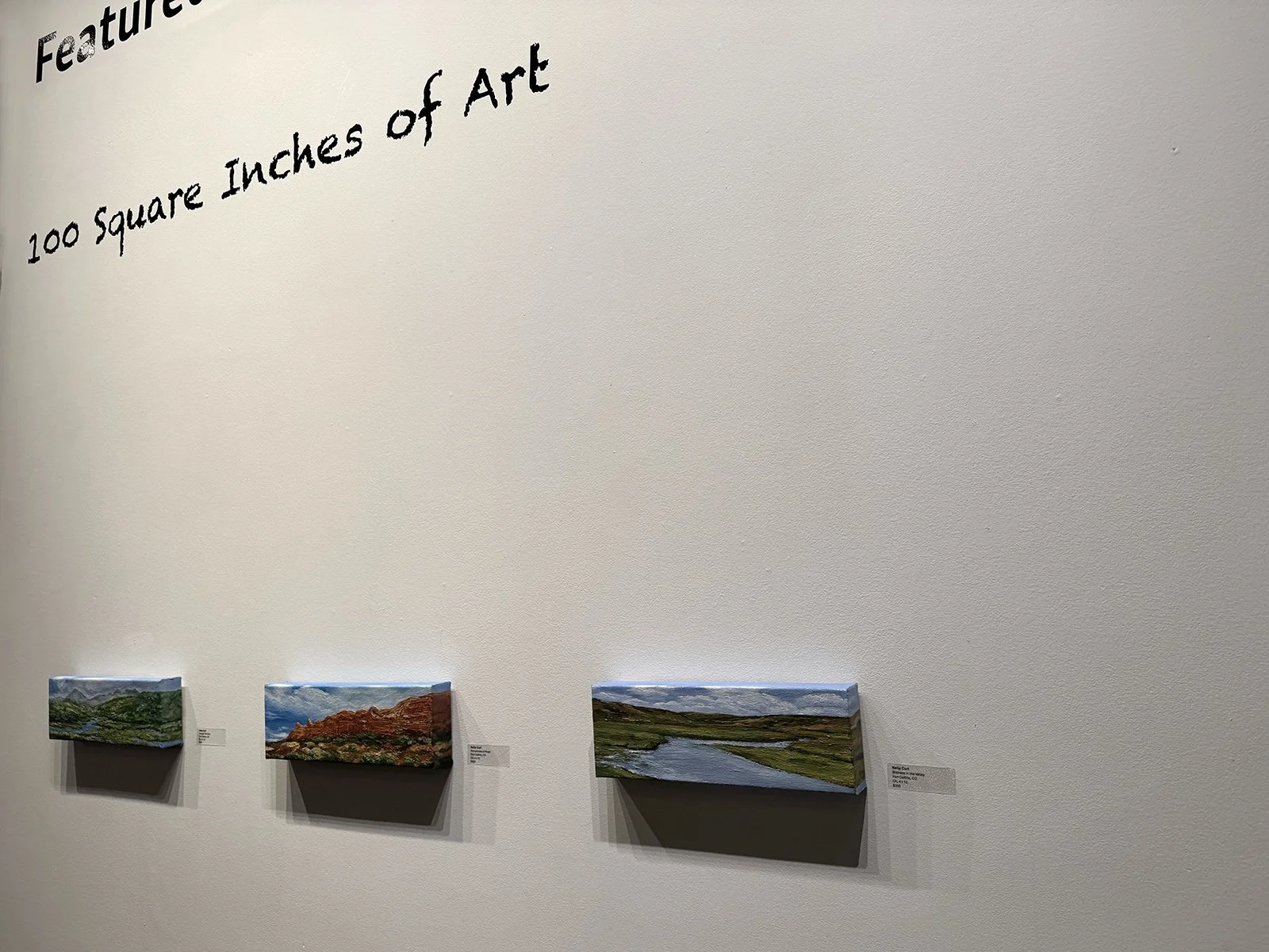 72_IMG_1250 copy.jpg