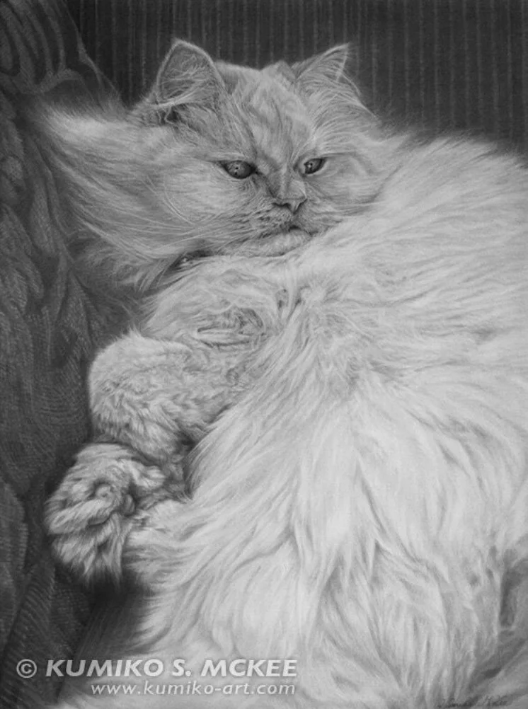 "Momo II" Graphite on Paper 24”x18” (61cm x 46cm) 2015