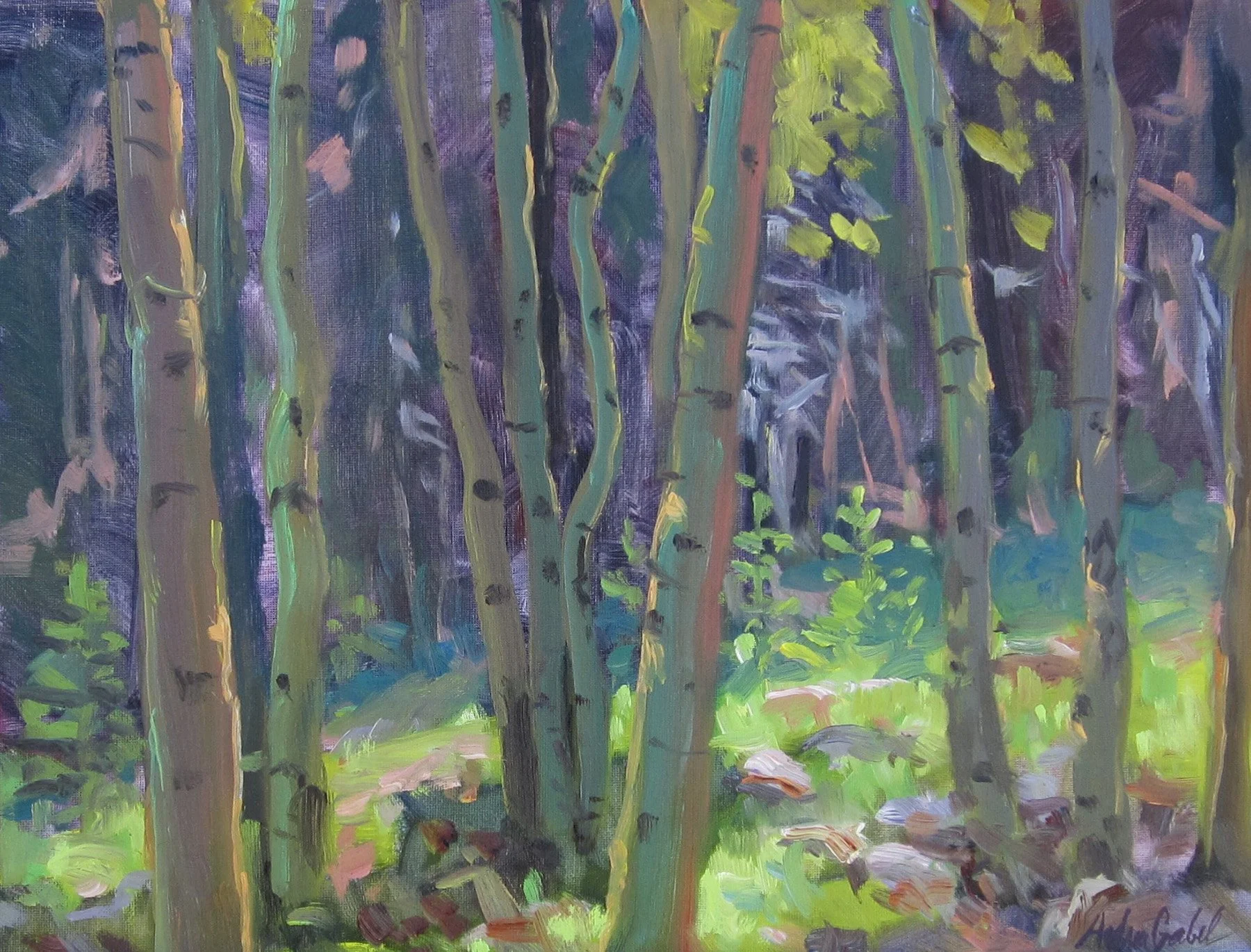 Andrea Gabel, Aspen Glow, 14x18, 675.,plein air (6-26-16).jpg