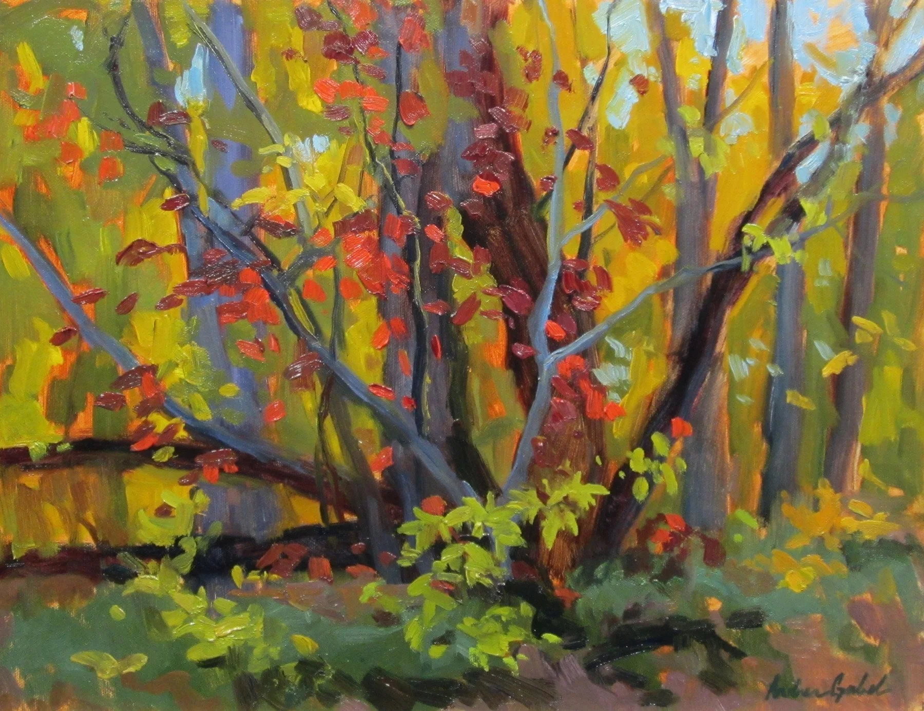 Gabel, Star of Autumn, 14x18, oil-plein air,10-13-17, 700.,Fort Collins near S Lemay Ave..jpg