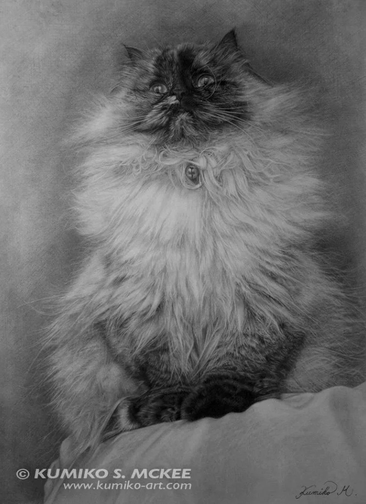 "Chibi II" Graphite on Paper 24” x 18” (61cm x 46cm) 2009