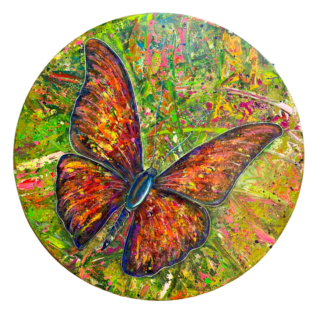 BLUE CHANGING BUTTERFLY