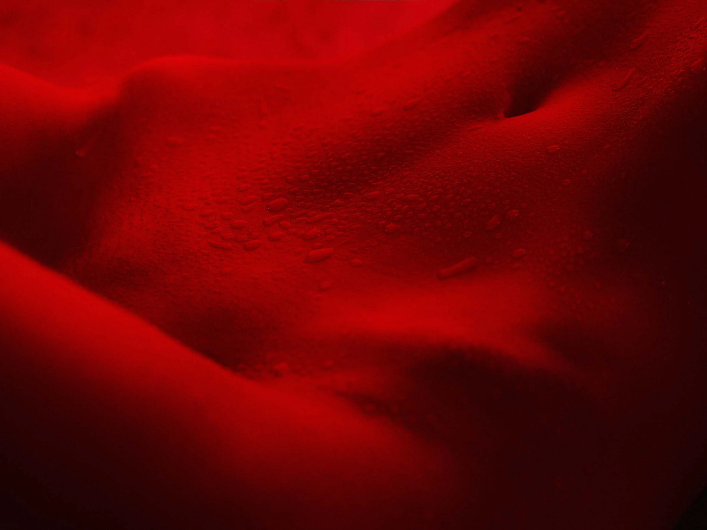 RED ROOM