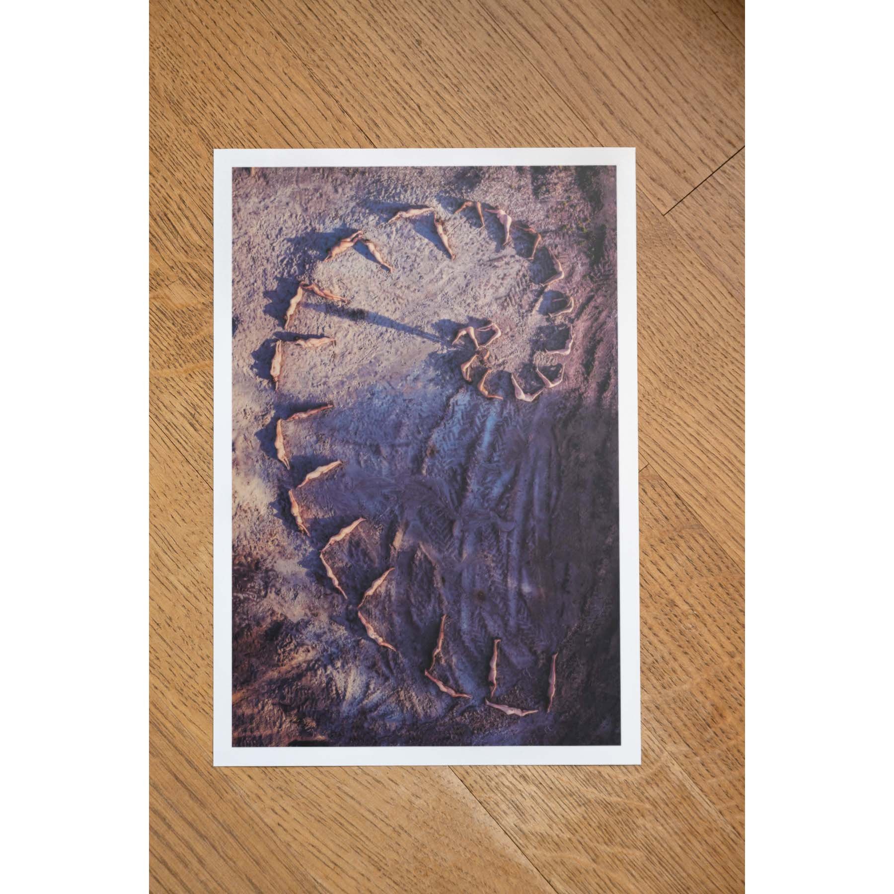 MARLEYMagazine_SimeonVanDerHoeven_Fibonacci_print_sq.jpeg
