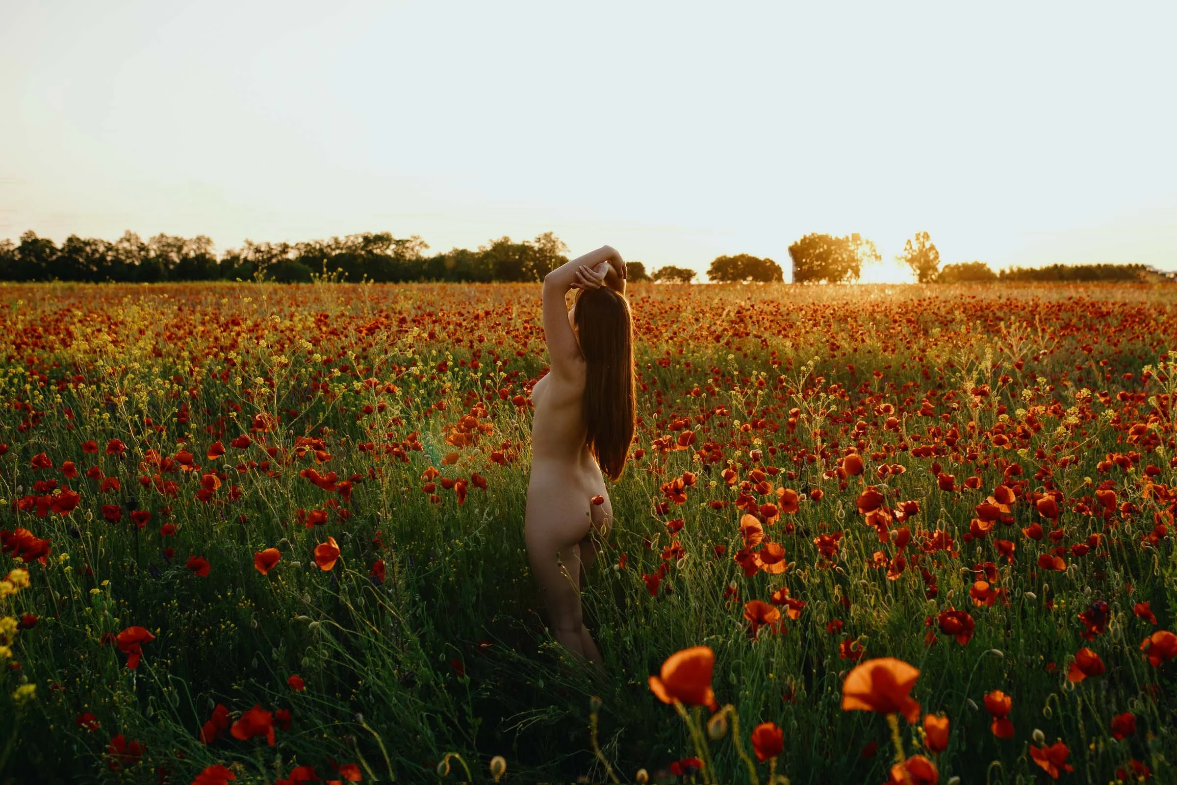 RED FIELDS