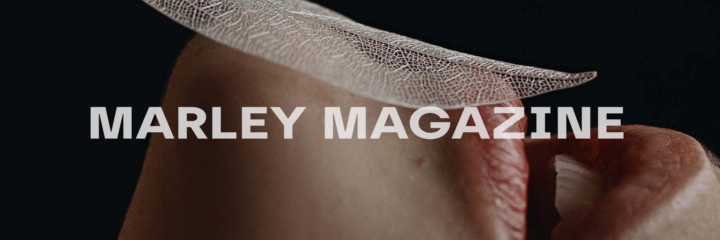 MARLEY Magazine - Banner 1_0000_MARLEY MAGAZINE.jpg