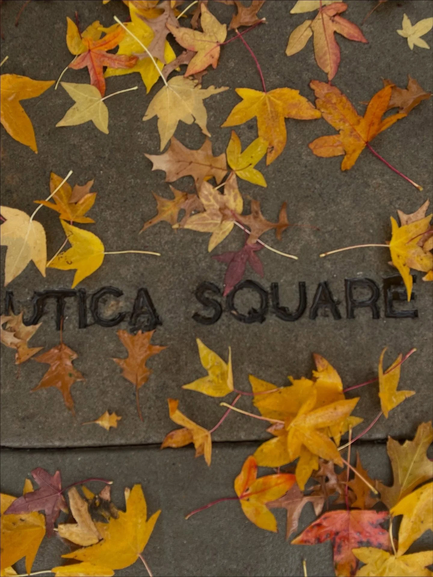 It&rsquo;s the Most Wonderful Time of the Year to walk around @uticasquare and Eat &amp; Shop Local!