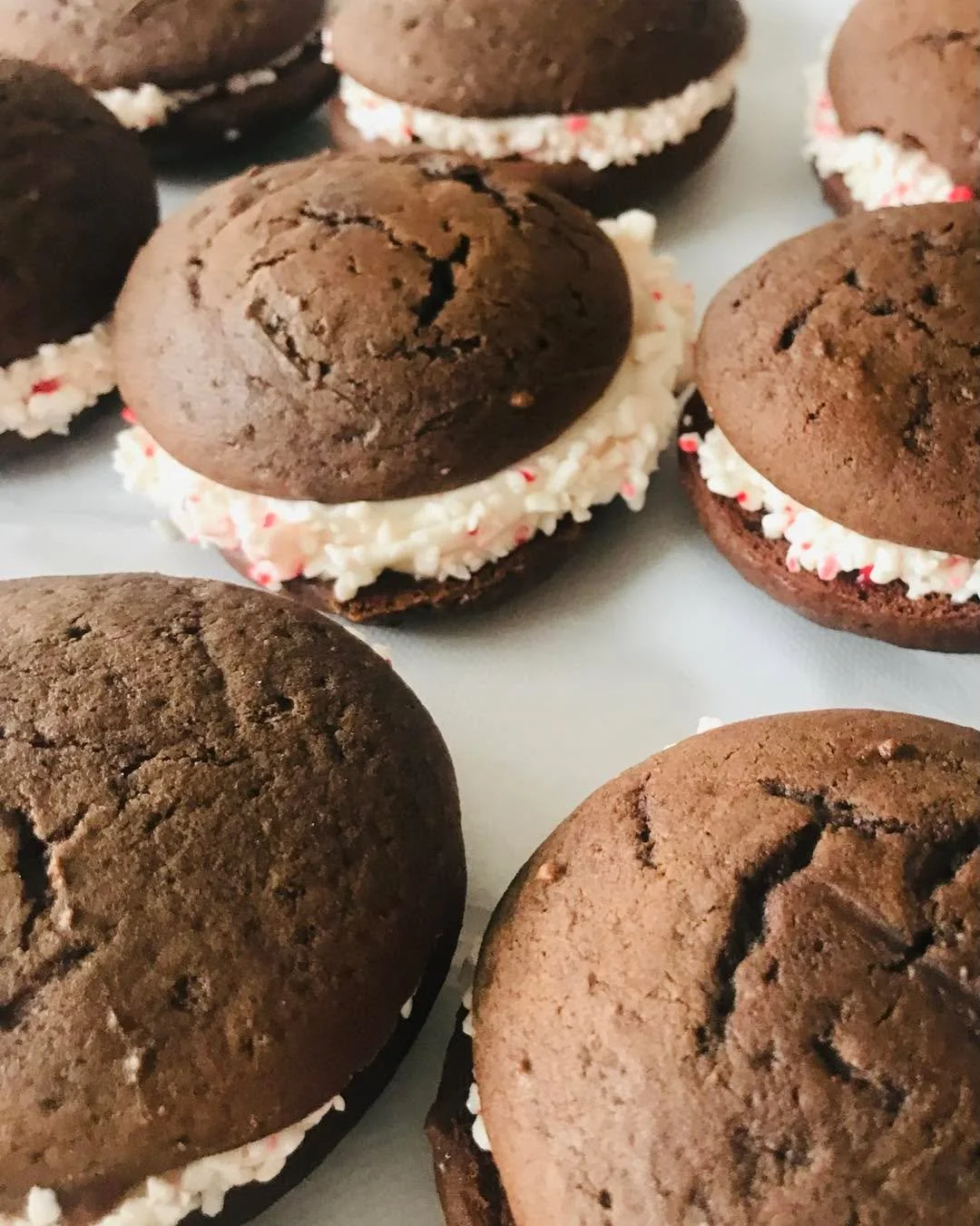 Today - Chocolate Peppermint Whoopie Pies. Hurry they go fast!