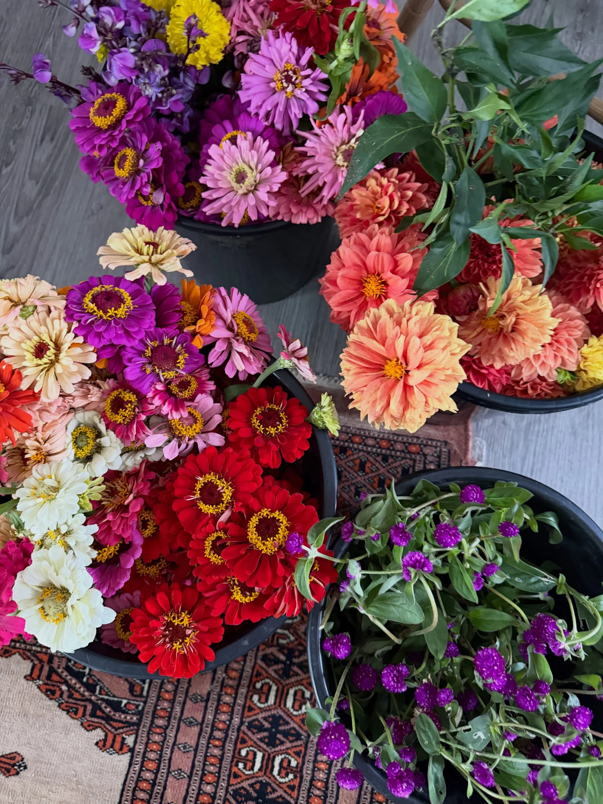 Flowers on our cakes, flowers on our tables (thanks to @2dogs_flowerfarm), and flowers brought in by our lovely customers. 

Queenies and flowers have always gone hand in hand. 🌻