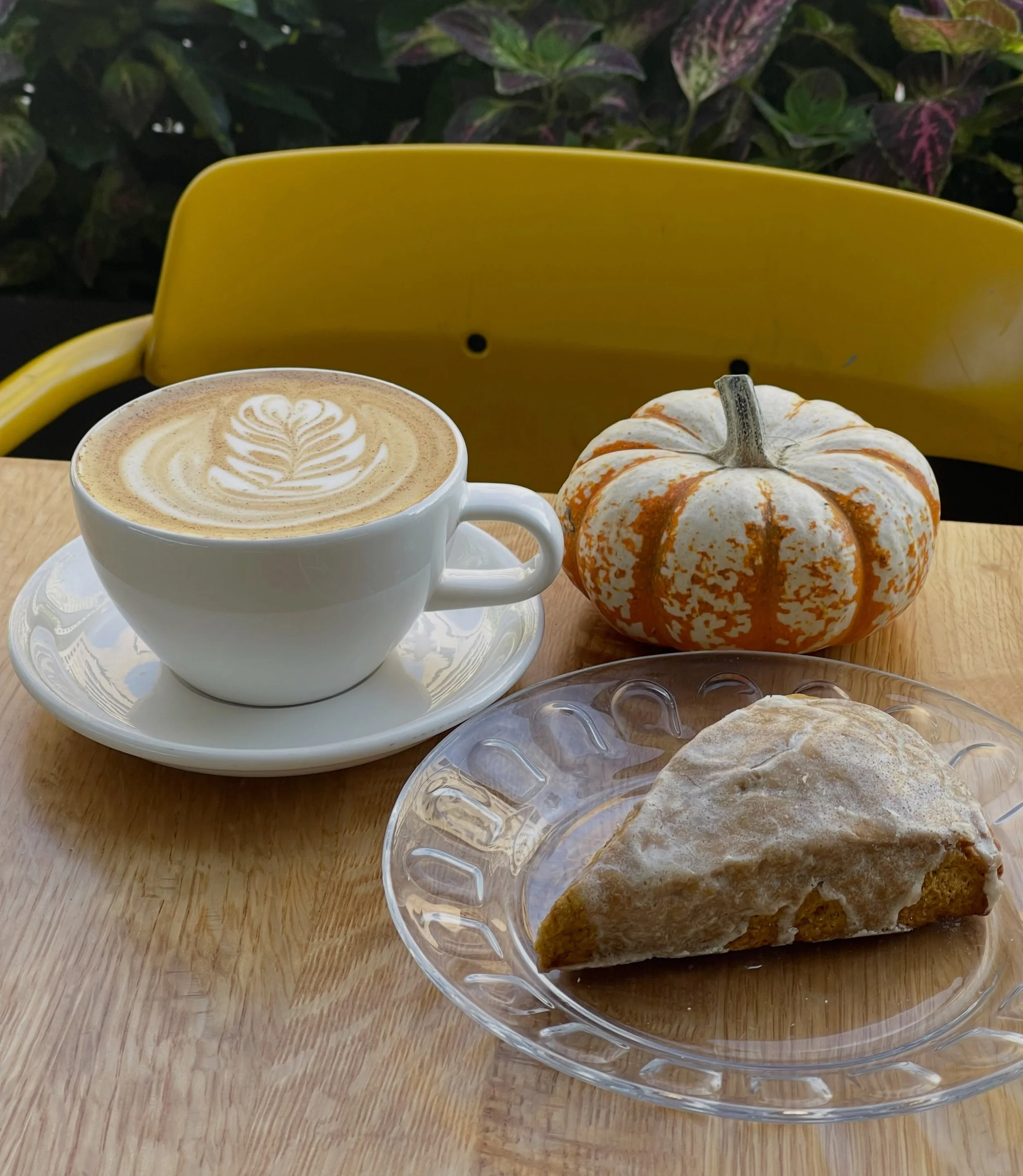 Need some fall goodies to share at home or bring to the office? We&rsquo;ve got you! 🍂 From pumpkin scones and pumpkin bread to pecan tarts, pumpkin cookies &amp; more!