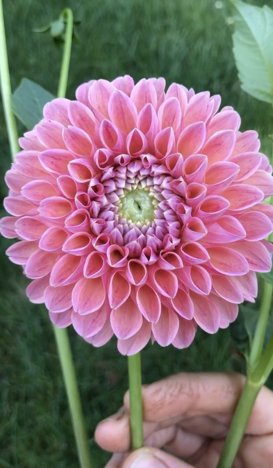 Screenshot 2024-03-20 at 8.09.35 AM.png