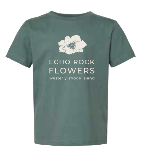 Screenshot 2024-11-27 at 7.59.32 AM.png