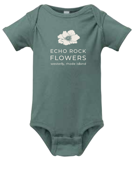 Screenshot 2024-11-27 at 7.59.16 AM.png