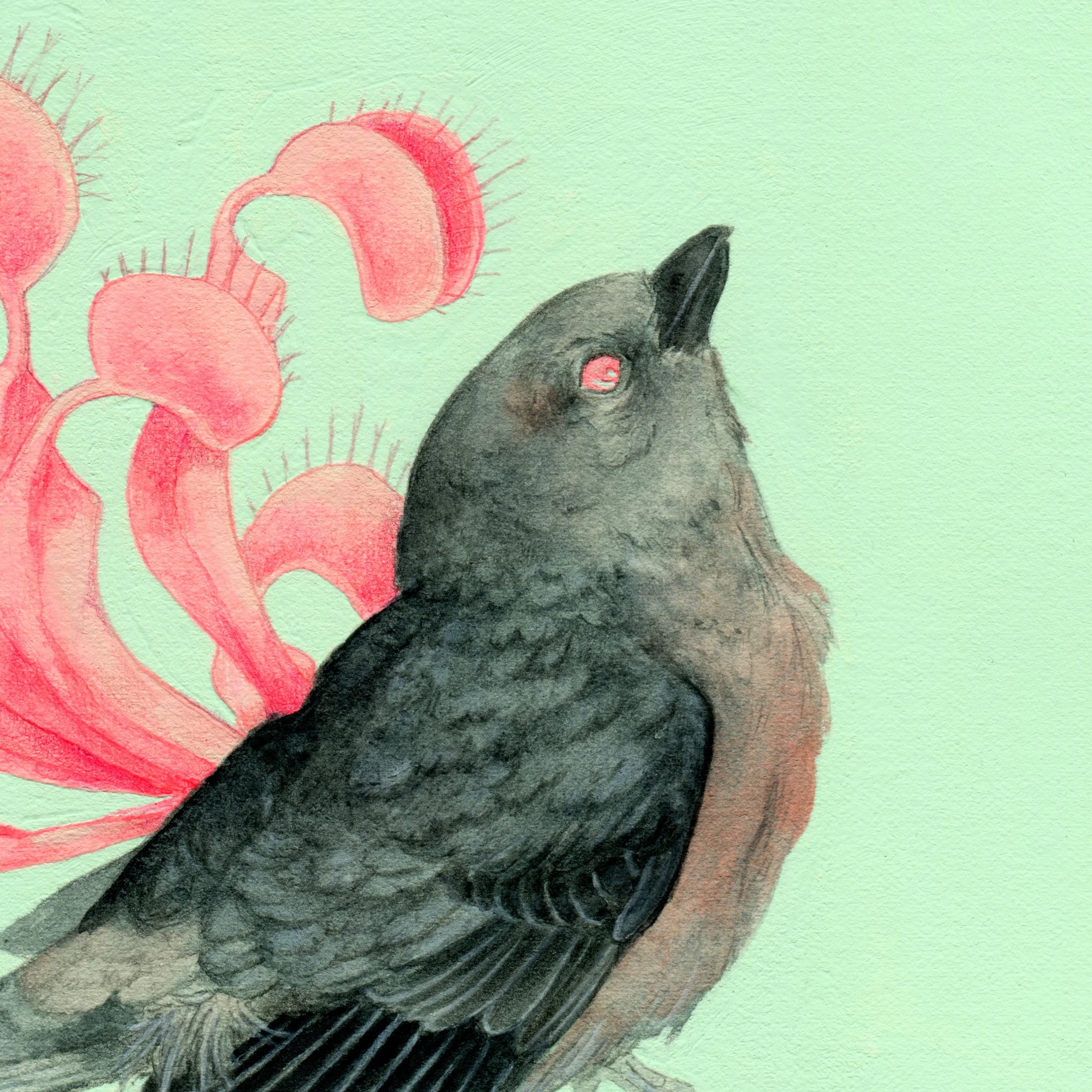 Hungry_KSiegel-Leicht_detail_1.jpg