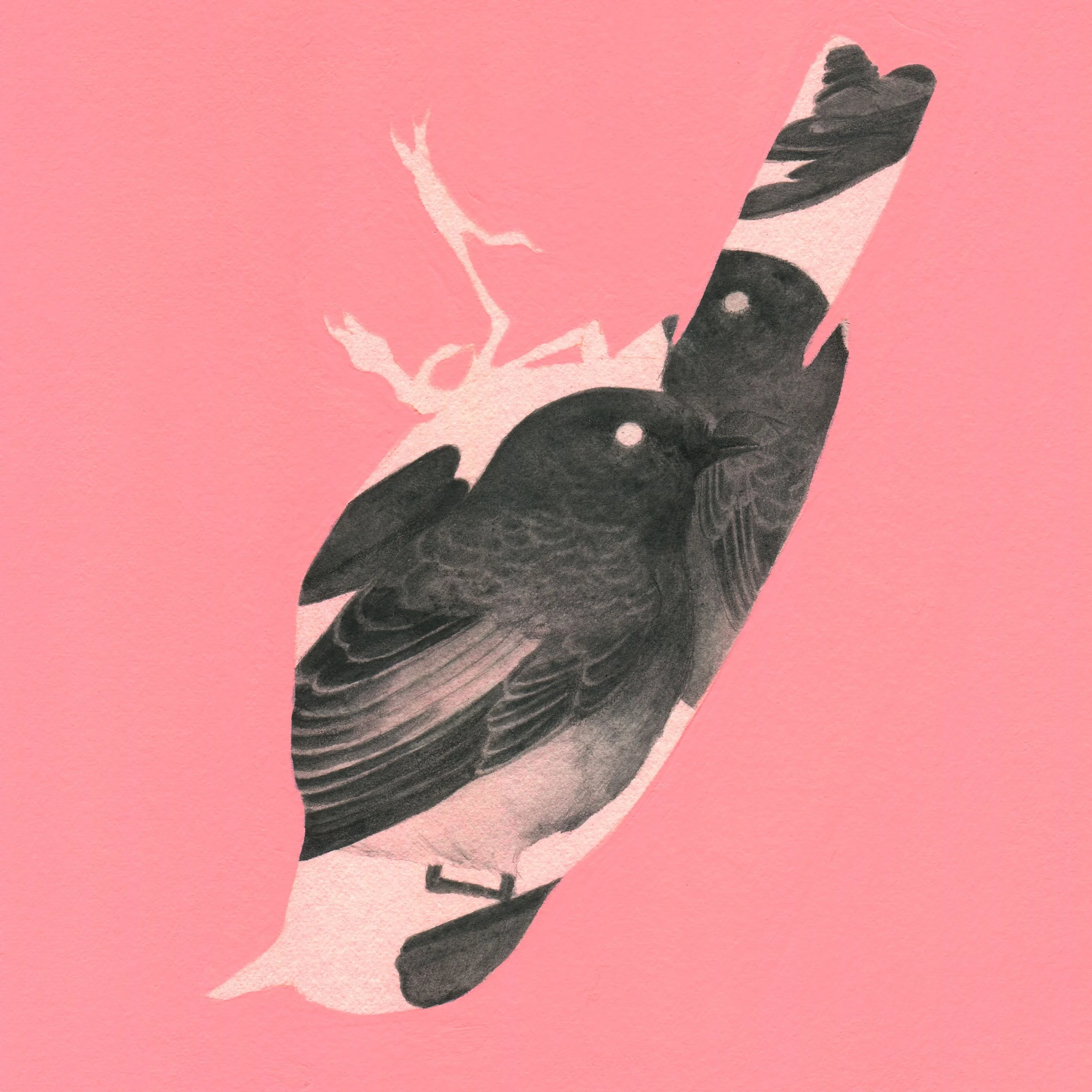 familiar_strangers_KSiegel-Leicht_detail.jpg