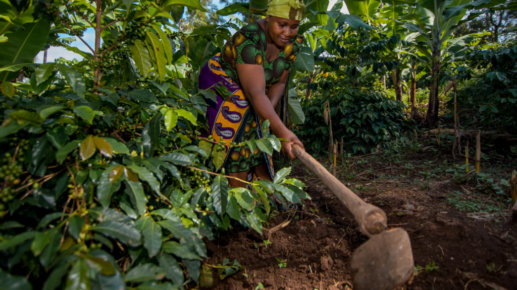 tanzanian_coffee_farmer-1024x576.png